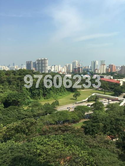 Blk 81 Commonwealth Close (Queenstown), HDB 3 Rooms #129225902